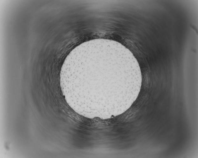 X0000099551105200806131206