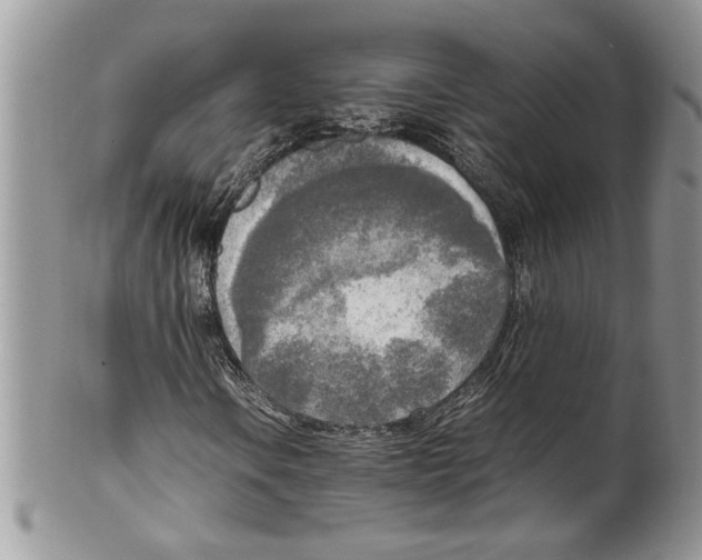 X0000099551106200806131206