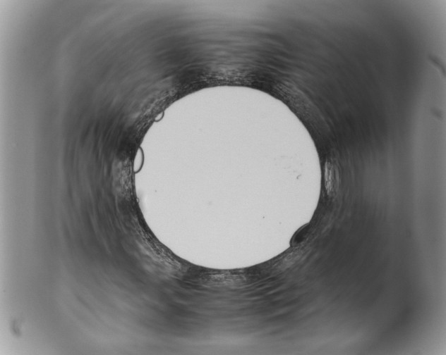 X0000099551107200806131206