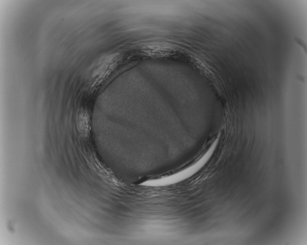 X0000099551108200806131206