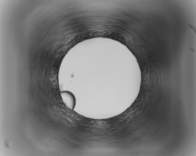 X0000099551109200806131206