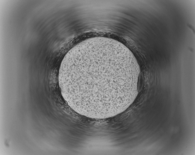 X0000099551110200806131206