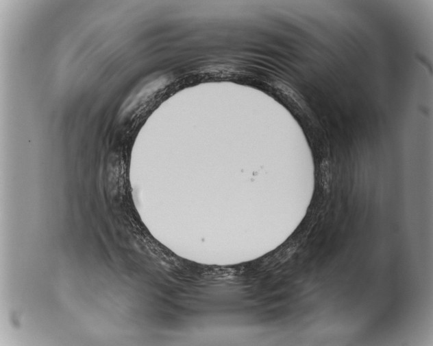 X0000099551111200806131206