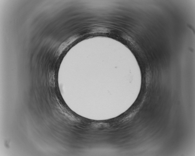 X0000099551113200806131206