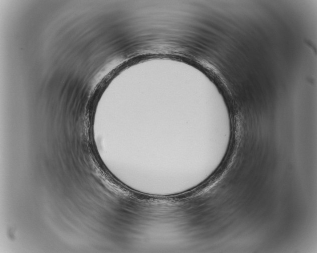 X0000099551114200806131206