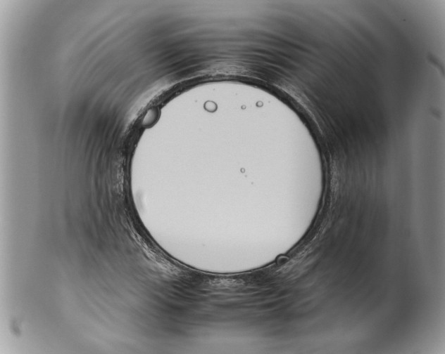 X0000099551115200806131206