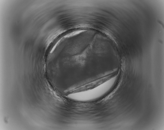 X0000099551117200806131206