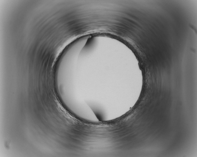 X0000099551118200806131206