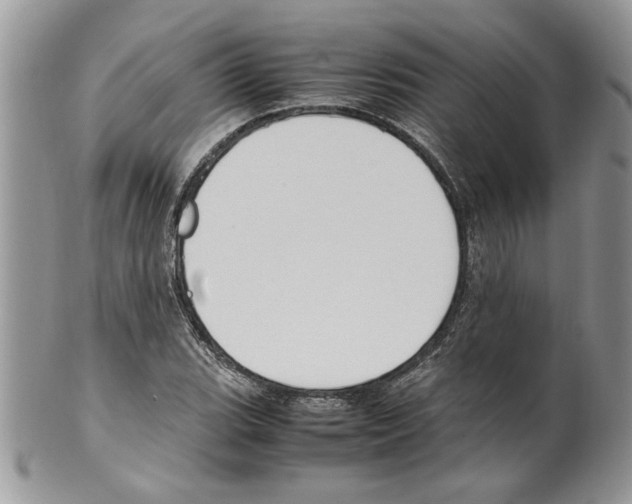 X0000099551119200806131206