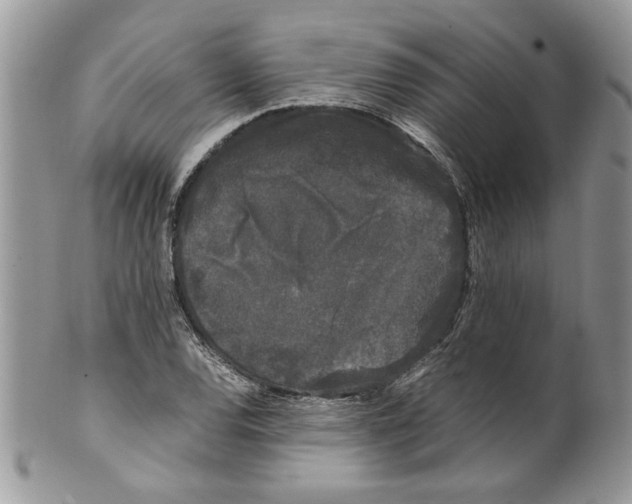 X0000099551120200806131206