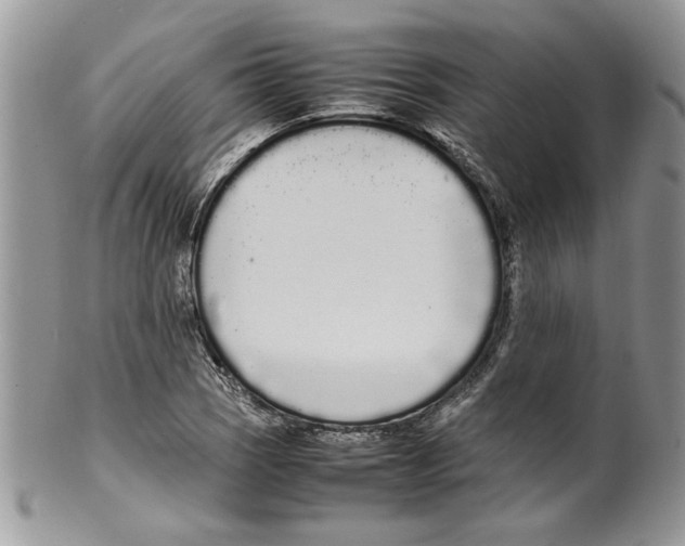 X0000099551121200806131206