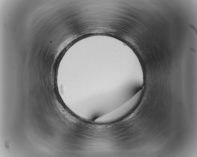 X0000099551122200806131206