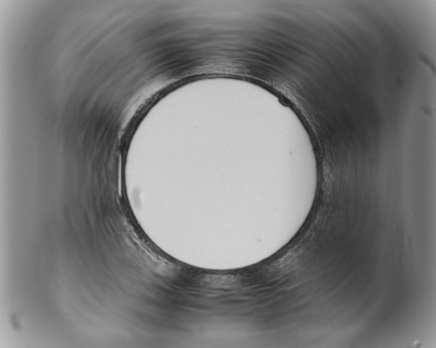 X0000099551123200806131206