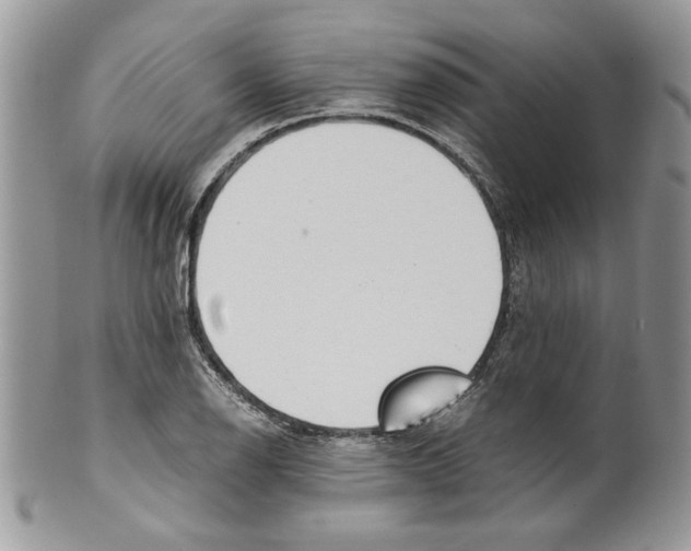 X0000099551126200806131206