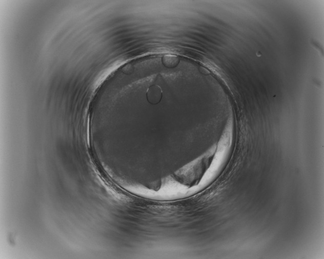 X0000099551127200806131206