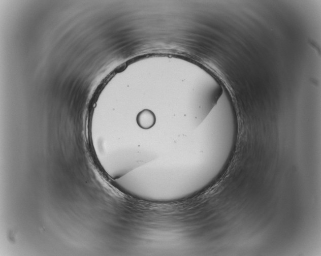 X0000099551128200806131206