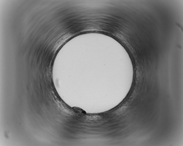 X0000099551129200806131206