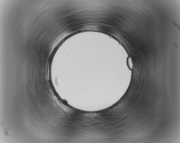 X0000099551131200806131206