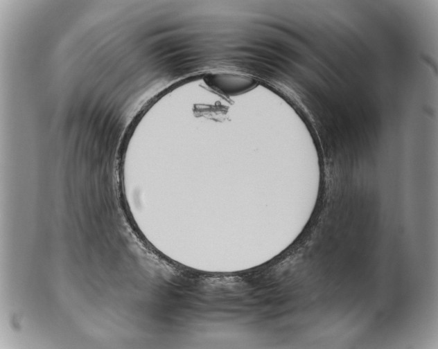 X0000099551133200806131206