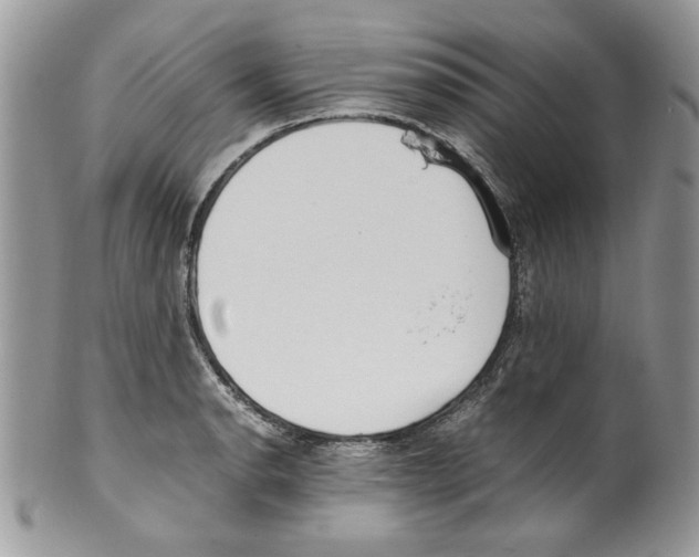 X0000099551134200806131206