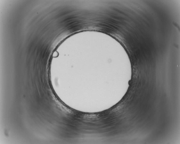 X0000099551135200806131206