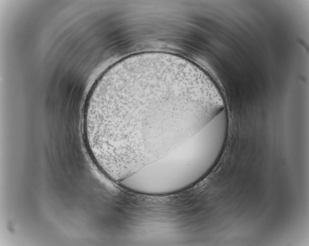 X0000099551136200806131206