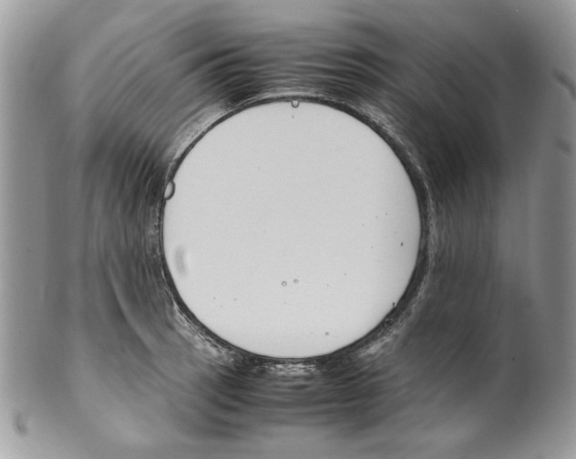 X0000099551137200806131206