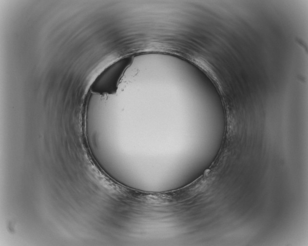 X0000099551138200806131206