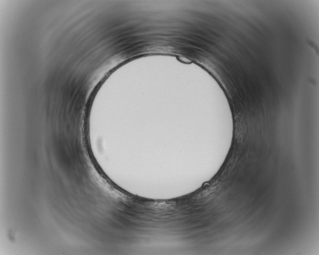 X0000099551139200806131206