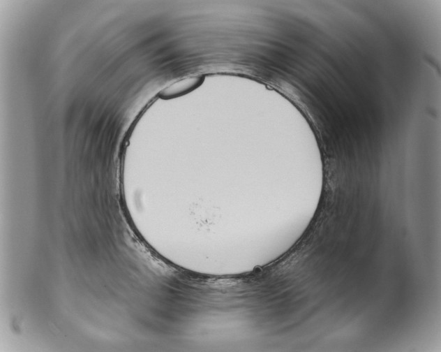 X0000099551140200806131206