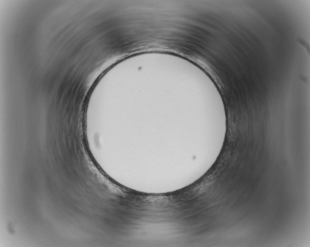 X0000099551142200806131206