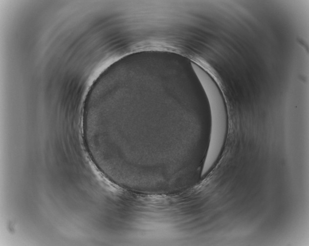 X0000099551144200806131206