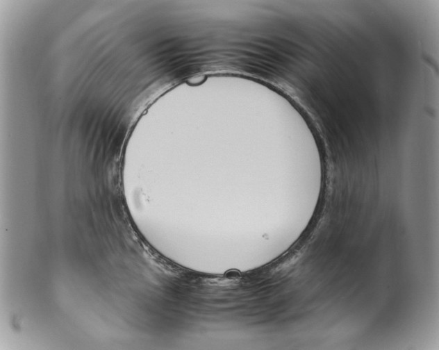 X0000099551145200806131206