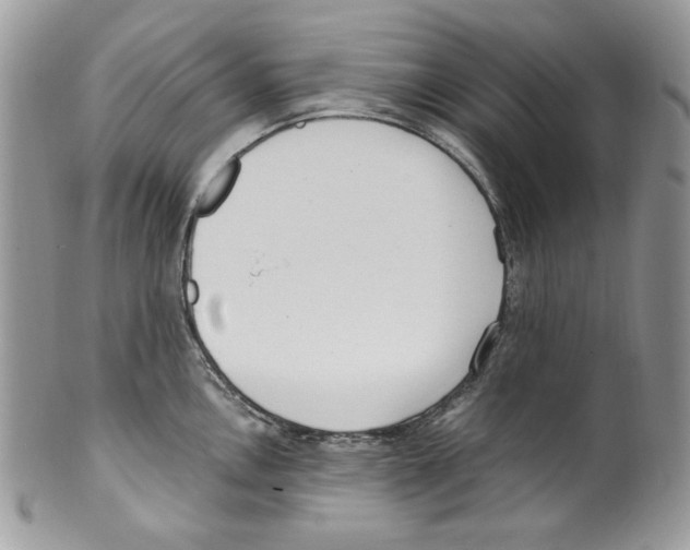 X0000099551146200806131206