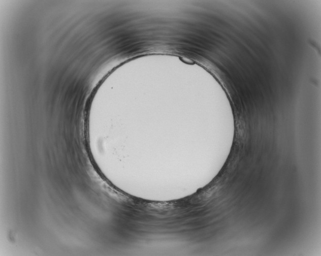 X0000099551147200806131206