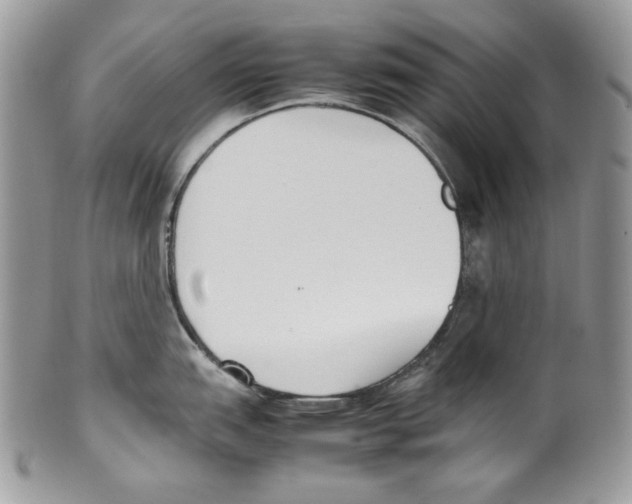 X0000099551151200806131206