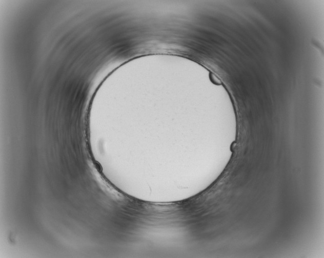 X0000099551152200806131206