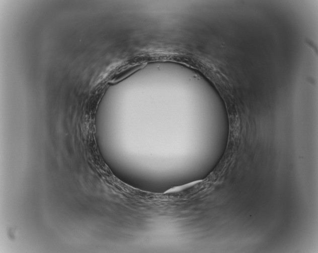 X0000099551157200806131206