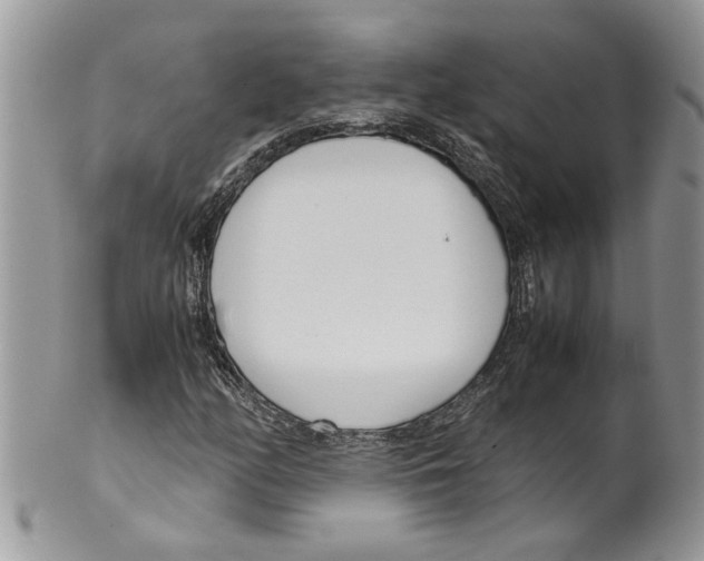 X0000099551158200806131206