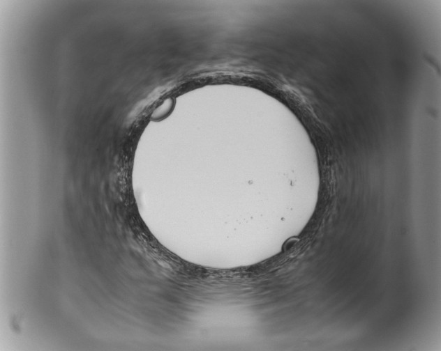 X0000099551159200806131206