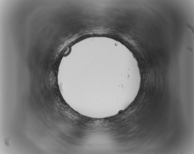 X0000099551160200806131206