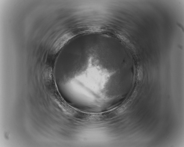 X0000099551161200806131206