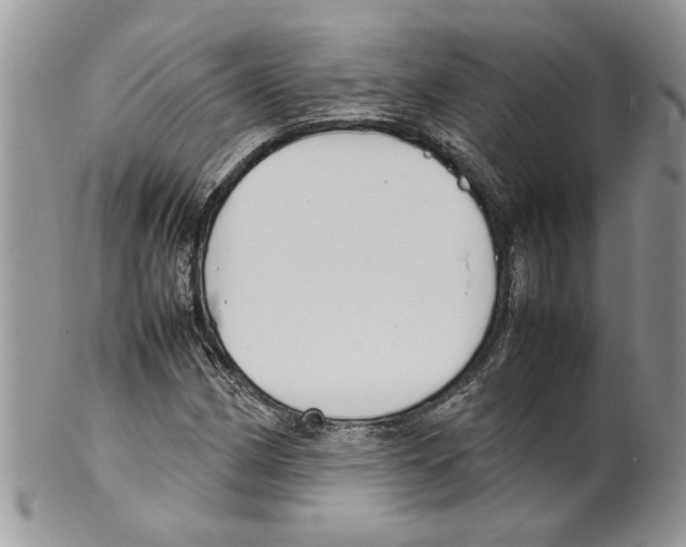 X0000099551162200806131206