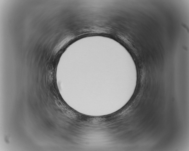 X0000099551163200806131206