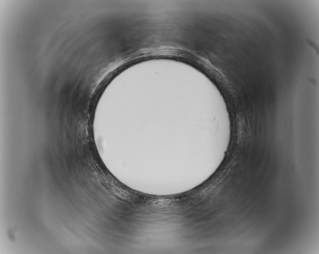 X0000099551166200806131206