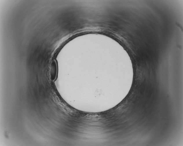 X0000099551168200806131206