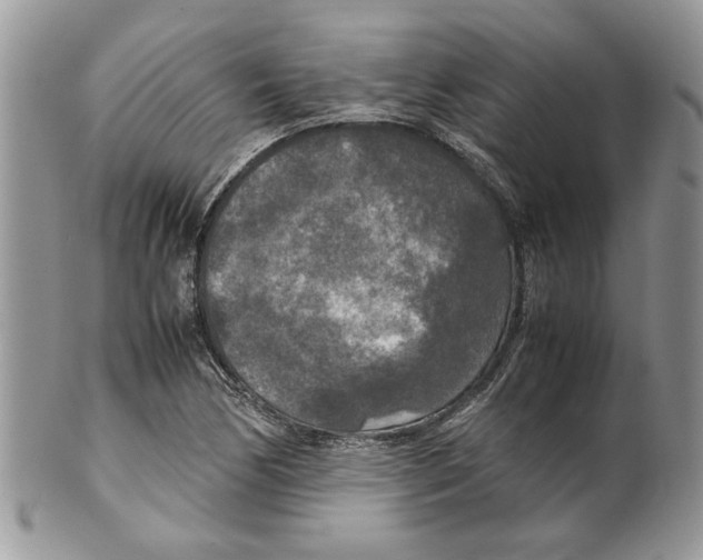 X0000099551170200806131206