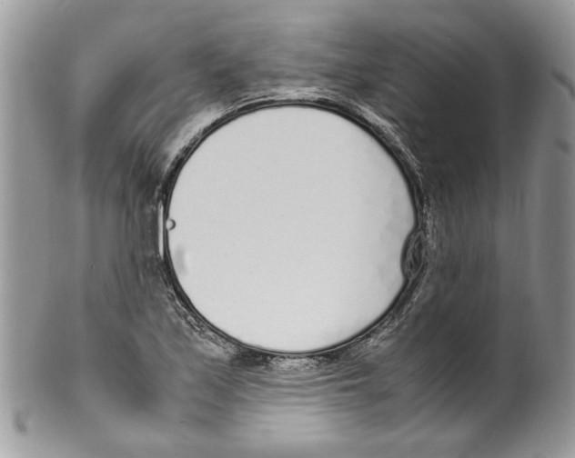 X0000099551171200806131206