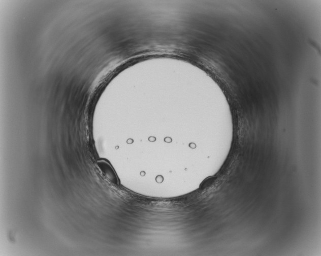 X0000099551172200806131206