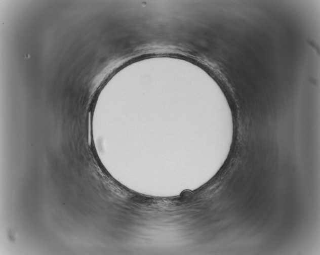 X0000099551175200806131206